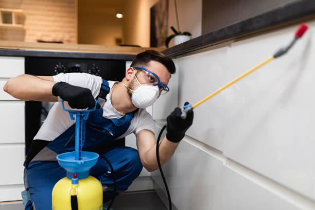 Best Flea Control Services  in Union Springs, NY