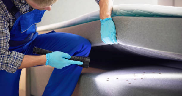Best Termite Control Services  in Union Springs, NY